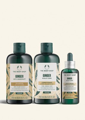 Сет Джинджифил Сет Джинджифил